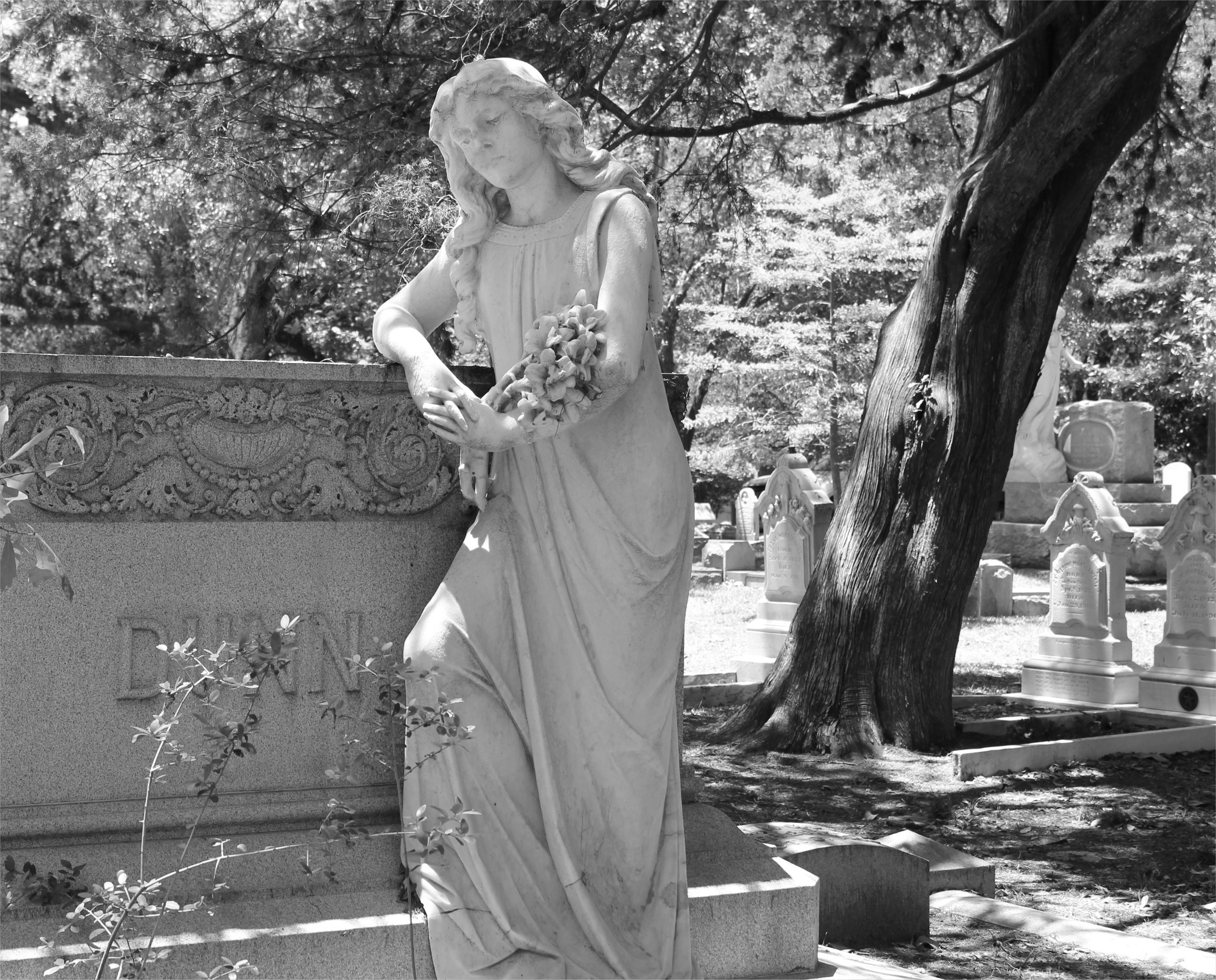 Image result for beautiful cemeteries