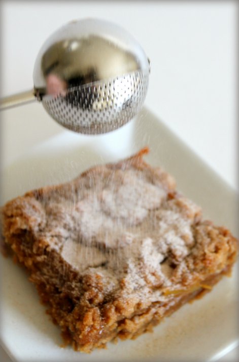 https://insidenanabreadshead.files.wordpress.com/2015/10/caramel-pear-crumb-bars-oxo-sifter-cinnamon-powdered-sugar.jpg